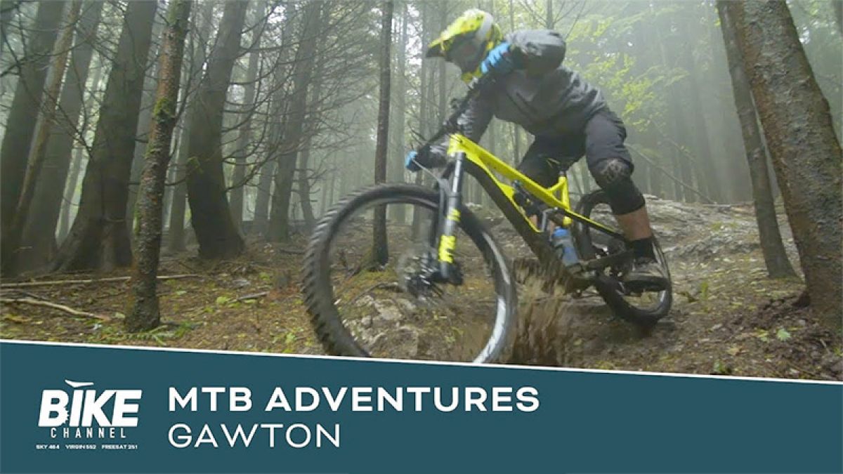 Ever wondered what Gawton Gravity Hub is all about?