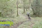 PMBA ENDURO SERIES, Round 5 - Grizedale Forest