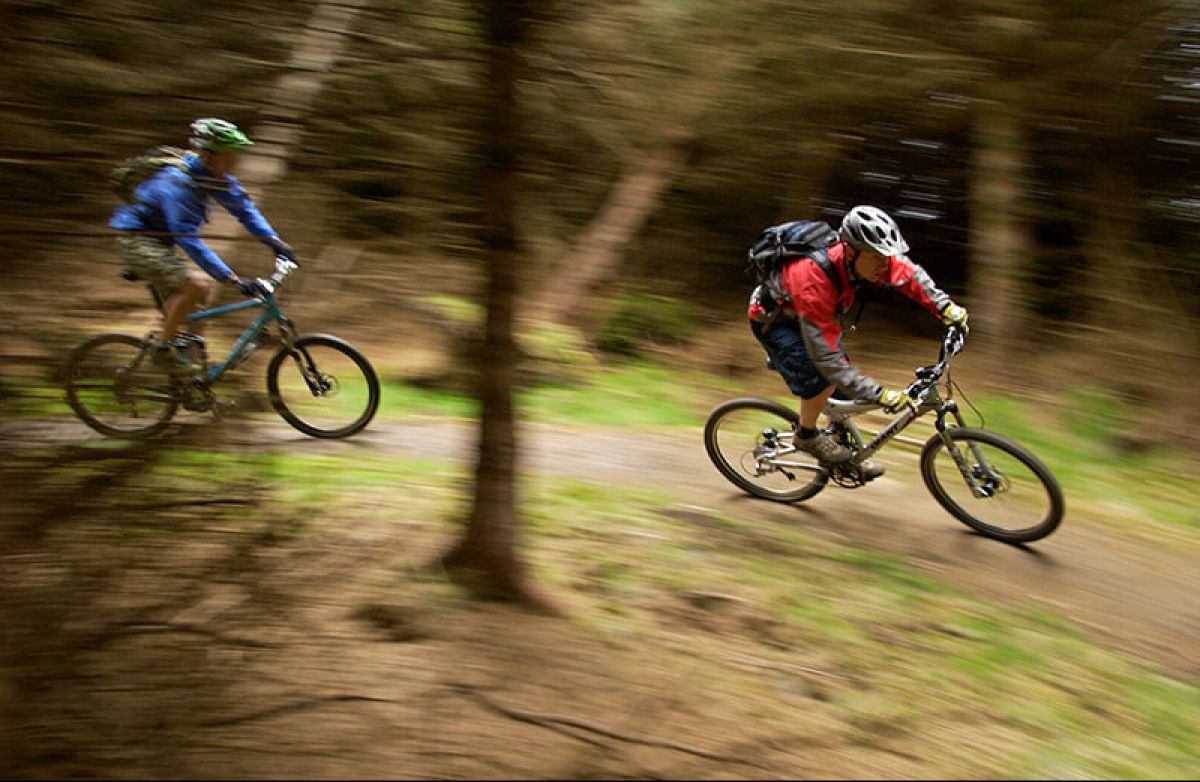 New Mountain Biking trails project at Glentress takes a step closer