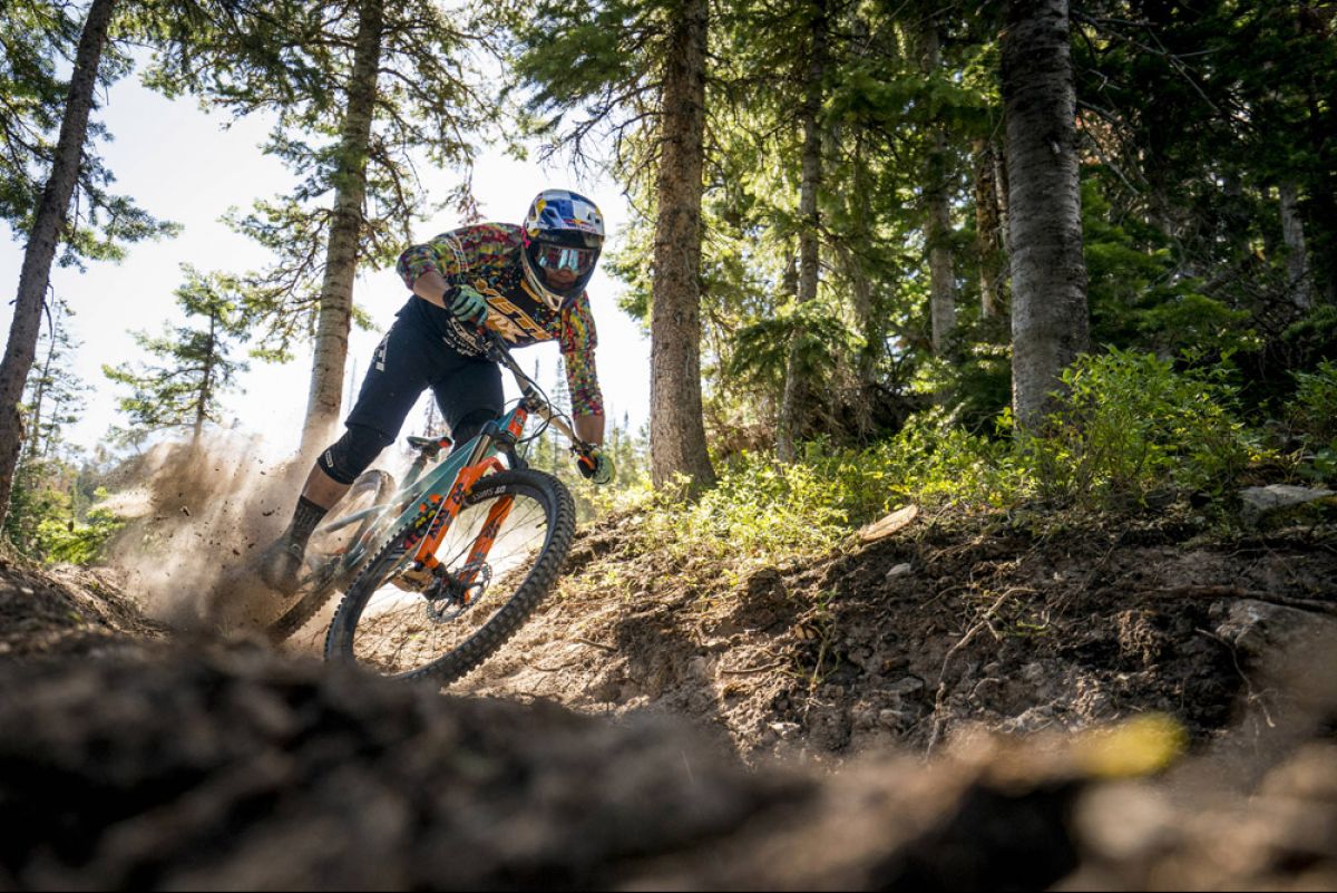 Pedalhounds welcome Red Bull!