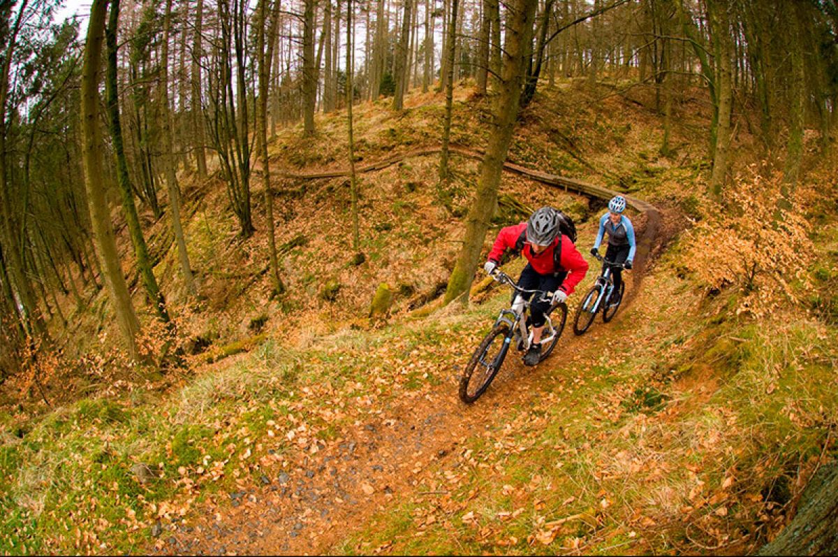 Temporary trail closure at Newcastleton forest