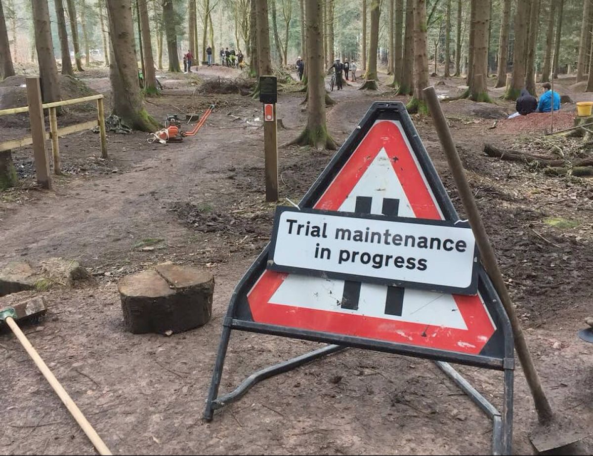 Help fund a new downhill mountain bike track at the Forest of Dean