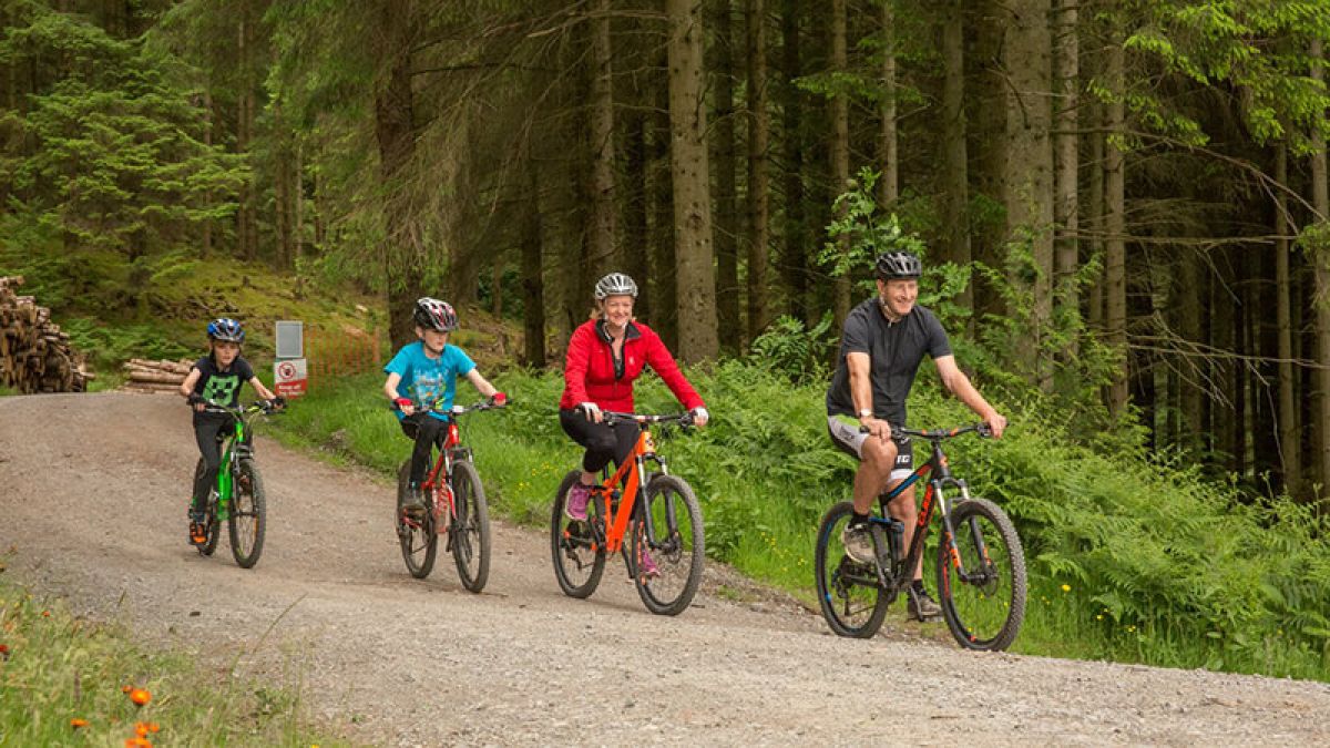 New cycle trail now open in Whinlatter Forest