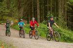 New cycle trail now open in Whinlatter Forest
