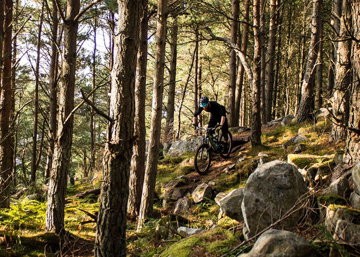 Dirt School Launches New Guiding Service