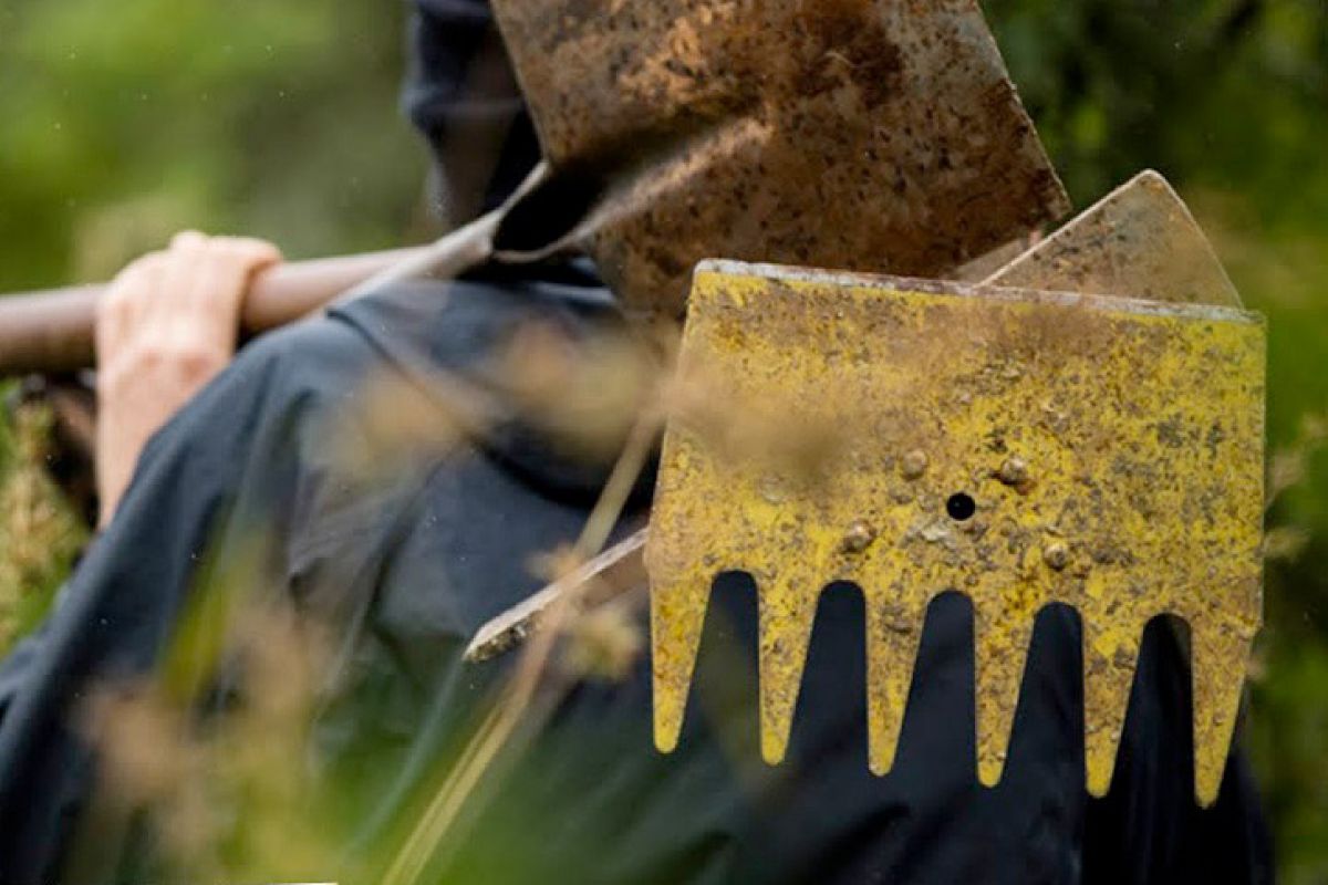 Watch: Shape Your World - Make Your Mark