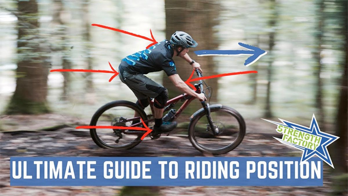 Video: Ultimate Guide To Riding Position On Your MTB