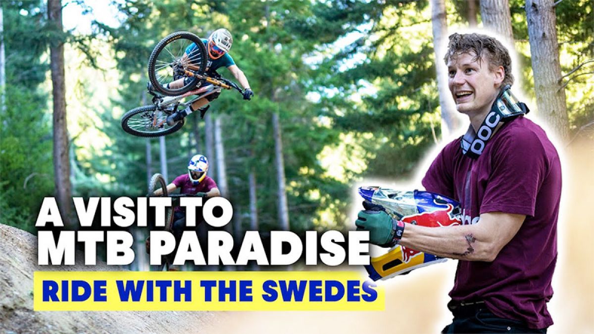 Why Is New Zealand A Mountain Biker's Paradise?