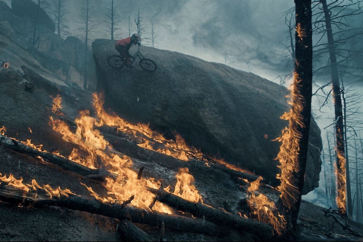 Must Watch: From The Ash - Nico Vink