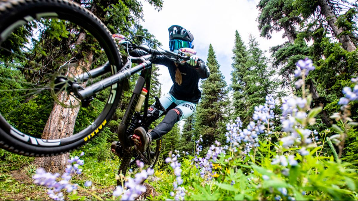 Watch: The Process X: It's So Sick