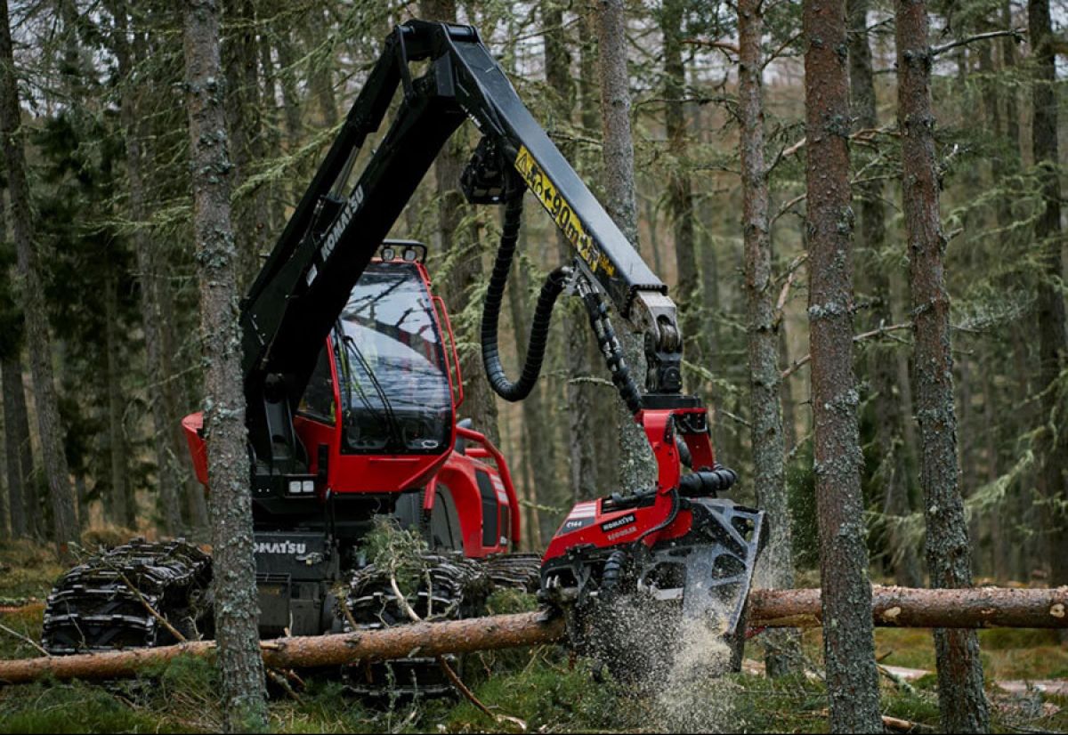 Dalbeattie Forest restrictions in place as forest operations begin