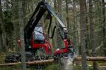 Dalbeattie Forest restrictions in place as forest operations begin