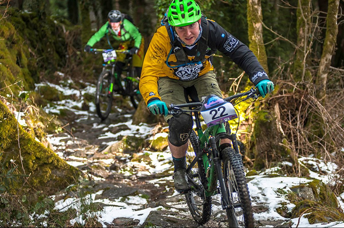The Fox Antifreeze returns to Coed y Brenin