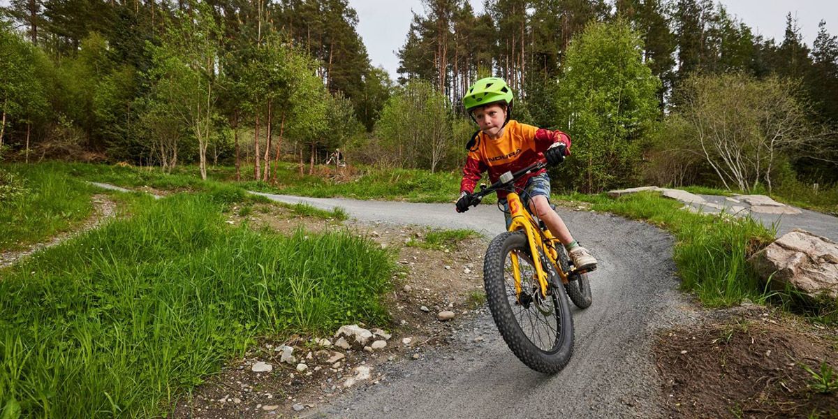 A new blue graded trail for Laggan Wolftrax!
