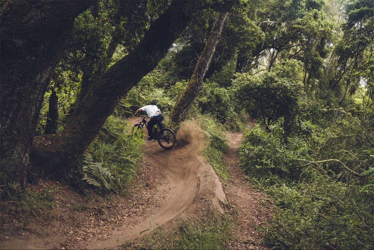 Video: Bryn Bingham & Warren Kniss in B+W: 002