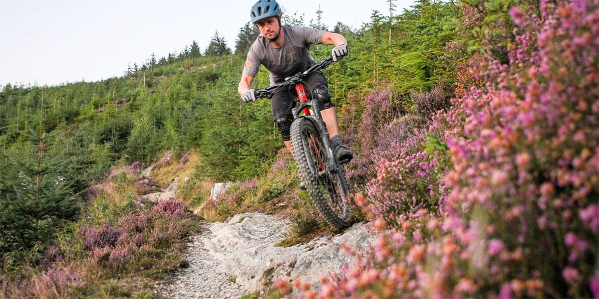 DMBinS Launches UK Trail Project Tour