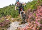 DMBinS Launches UK Trail Project Tour