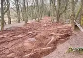 Dirt jumps at Hemlock Stone removed by Council