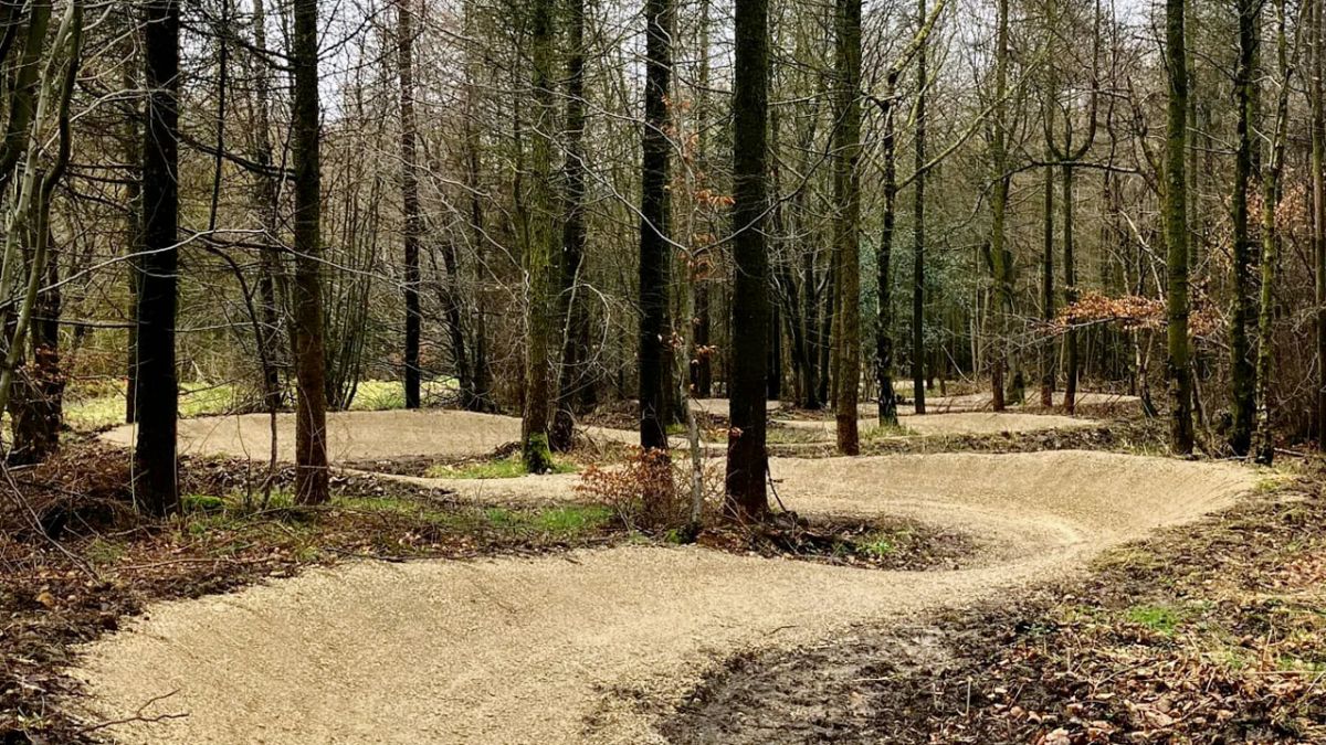 Renovated Blue Trail is now open at Dalby Forest