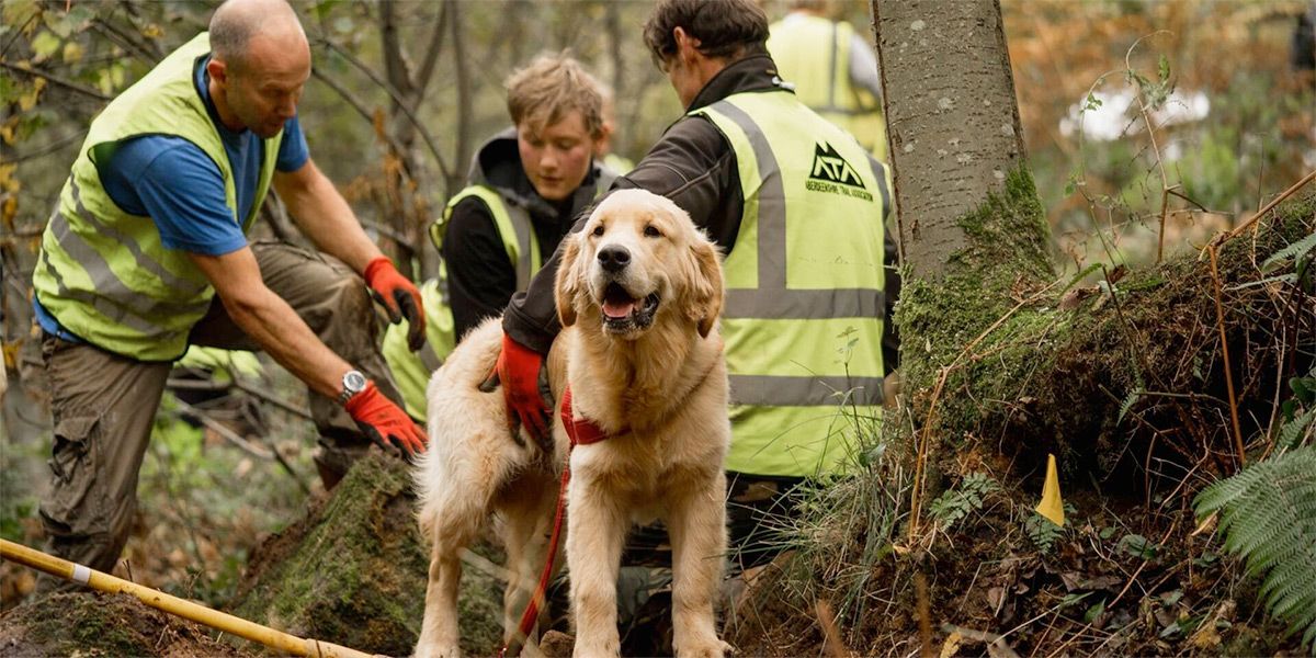 UK Trails Project Launches Nationwide Trails Survey