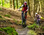 Forestry England unveils Forest 450 challenge