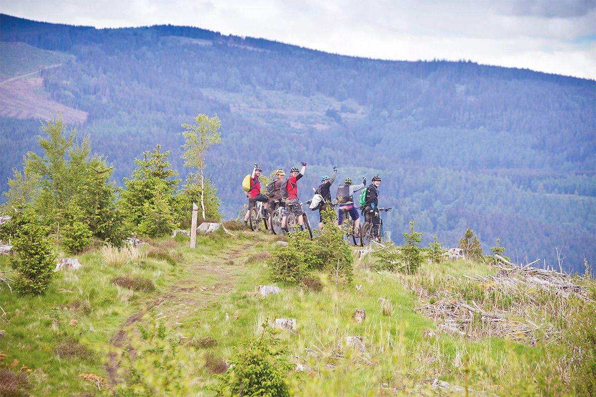 The end of the road for TweedLove