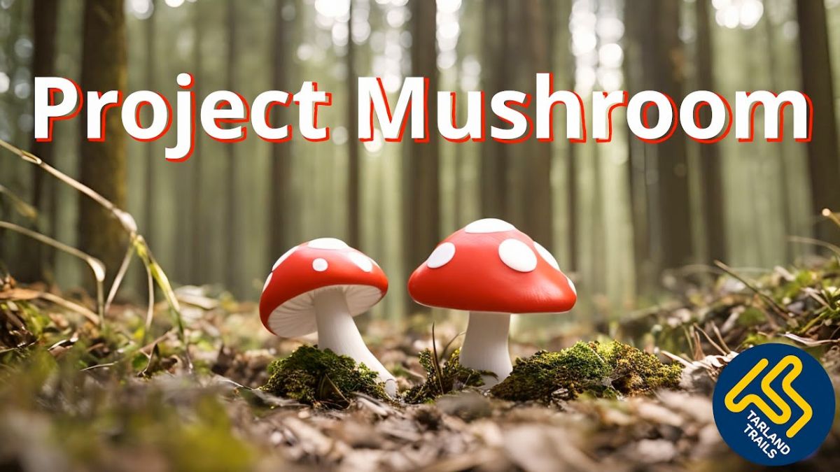 Volunteer call for new rider driven project at Tarland Trails