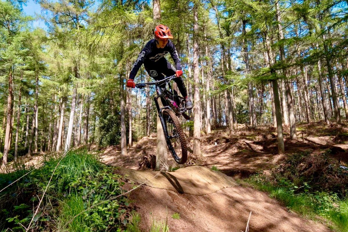 Whippendell Wood to host UK’s first council-led semi-urban mountain bike trail