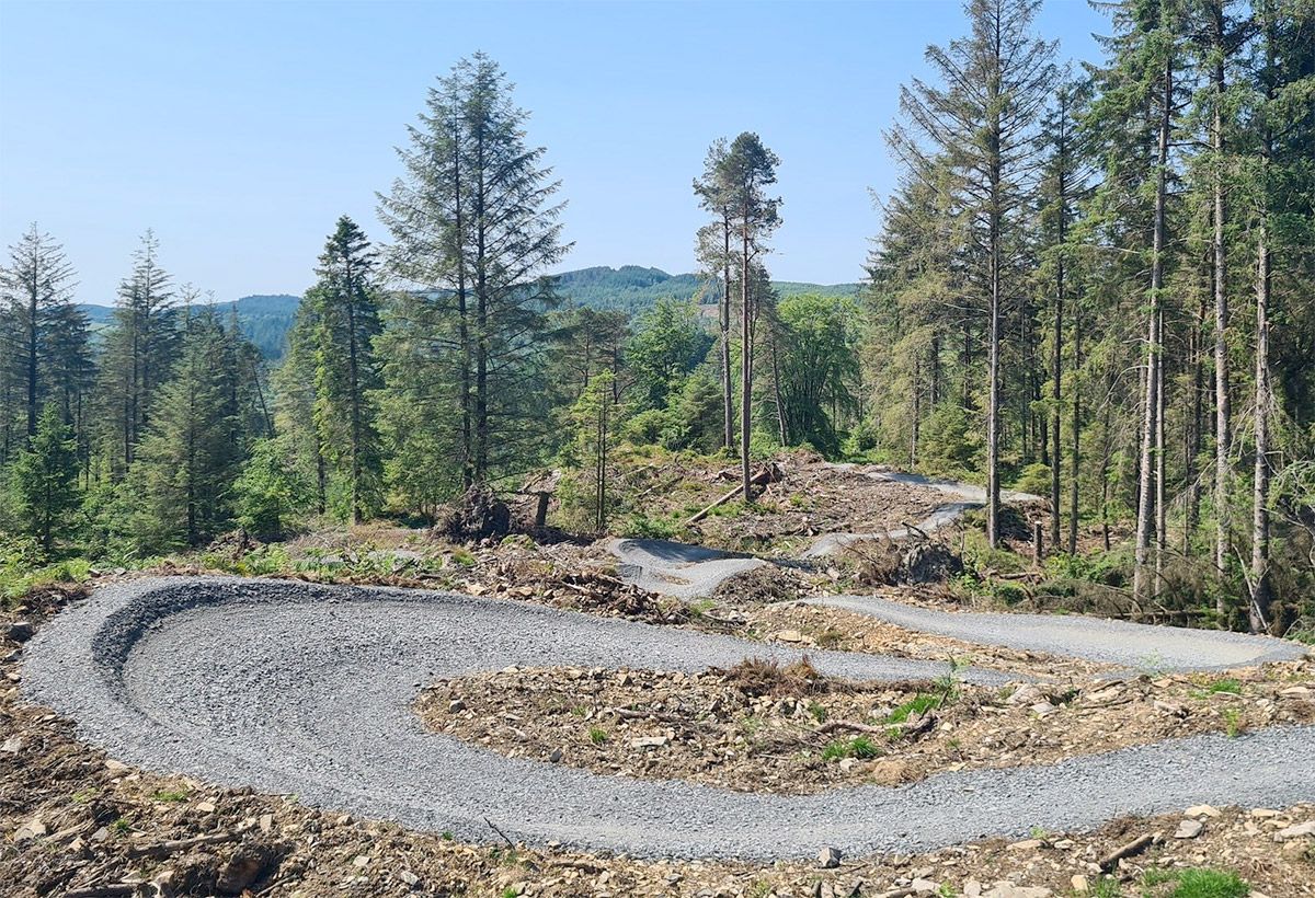 New Mountain Bike Trails Open at Grizedale Forest