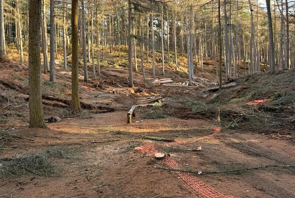 Closure of Dirt Jumps in Rushmere Country Park's Downhill Zone
