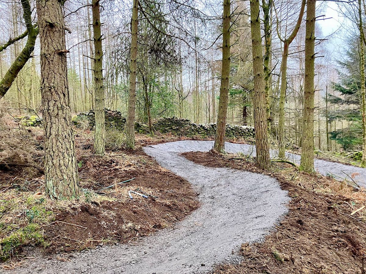 Upcoming expansion of Squirrel Chaser Cycle Trail in Hamsterley Forest