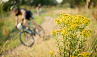 The Beastway's Back!