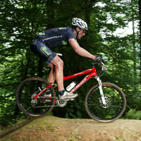 Roll up! Roll up! The circus is in town! - Second Image