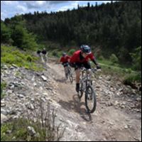 Dalby Forest wins mountain bike World Cup!