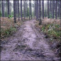 Work starts on the new Sherwood Pines Forest Bike Park