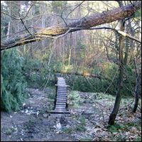 Update on the storm damage from Sherwood Pines