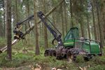 Tree felling work to begin at Glentress