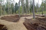 NEW SPOT: Tarland Mountain Bike Trails