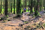 BikePark Wales launches UK's longest blue descent
