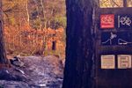 NEW SPOT: Grenoside Woods Mountain Bike Trails