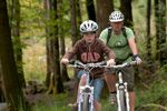 New loop opens on Coed-y-Brenin's most popular bike trail