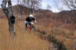 The Spirit of Enduro World Champs - 2013