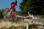 Un Petit Tour - Commencal