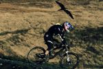 Gee Atherton gets Pecked by Very Very Fast Bird.