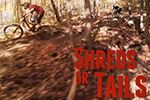 Shreds or Tails