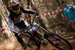 MoreDirt Midweek Movies Round Up - 37