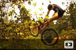 onlyMTB: Summer Lost Files