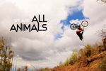 We Are all Animals - Shape Ride Shoot