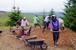 Rangers & volunteers dig deep to repair flood damage in Kielder