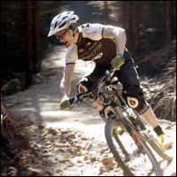 Ancient Woods Get A Boost From Bikers